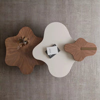 Modern Irregular Shape Coffee Table Set - 3-Piece Walnut Veneer Combination Table with Eco-Friendly Wood & Stainless Steel Supports - Stylish, Durable, and Versatile Living Room Furniture