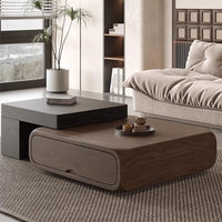 Oval Coffee Table, Modern Minimalist Expandable Coffee Table Walnut Wood, with Multifunctional Storage