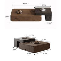 Oval Coffee Table, Modern Minimalist Expandable Coffee Table Walnut Wood, with Multifunctional Storage
