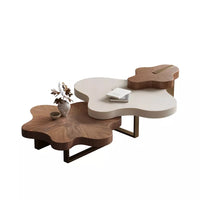 Modern Irregular Shape Coffee Table Set - 3-Piece Walnut Veneer Combination Table with Eco-Friendly Wood & Stainless Steel Supports - Stylish, Durable, and Versatile Living Room Furniture