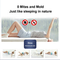 Pure Natural Latex Mattress