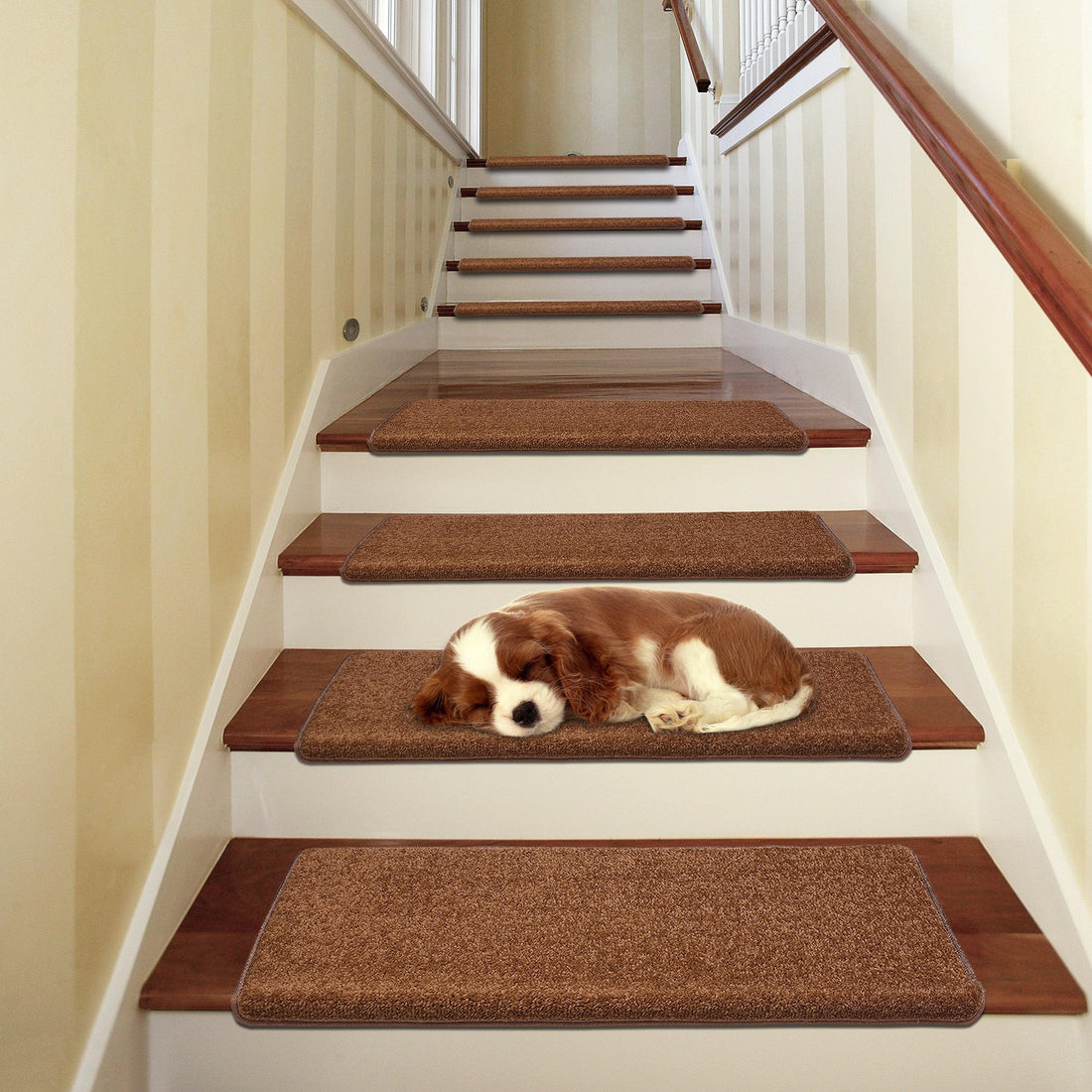 Pure Era - Non-slip Tape Free Bullnose Carpet Stair Treads Pet Friendly Peel and Stick